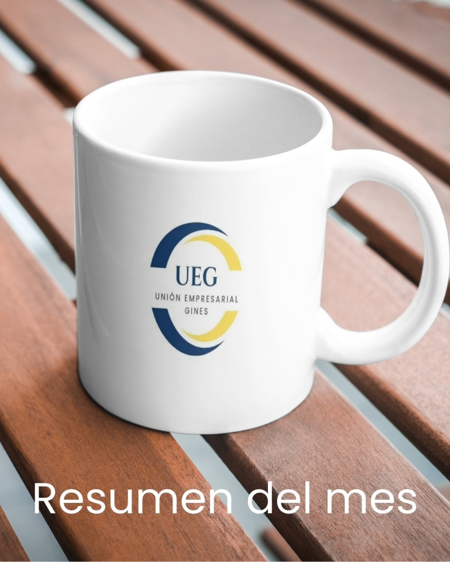 Resumen de actividad de noviembre